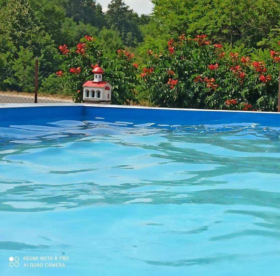 Guest House Vila Aleksa Bogutovac Eksteriør bilde