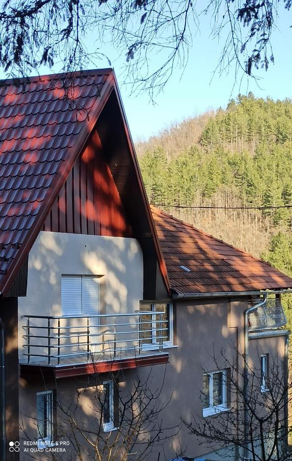Guest House Vila Aleksa Bogutovac Eksteriør bilde