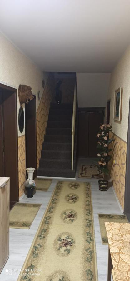 Guest House Vila Aleksa Bogutovac Eksteriør bilde