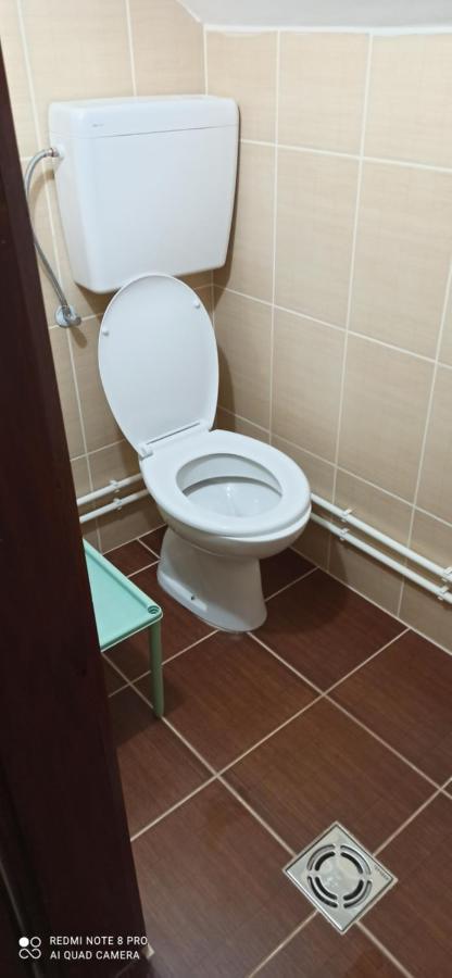 Guest House Vila Aleksa Bogutovac Eksteriør bilde