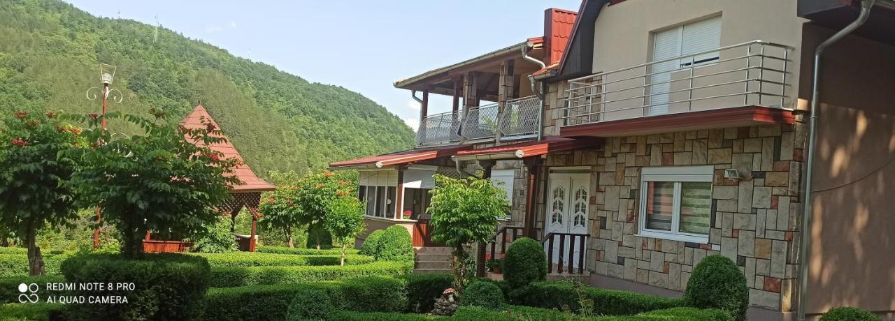 Guest House Vila Aleksa Bogutovac Eksteriør bilde