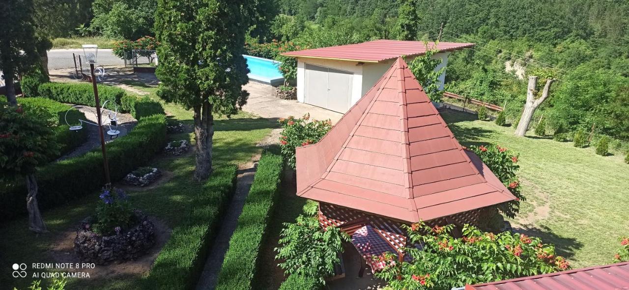 Guest House Vila Aleksa Bogutovac Eksteriør bilde