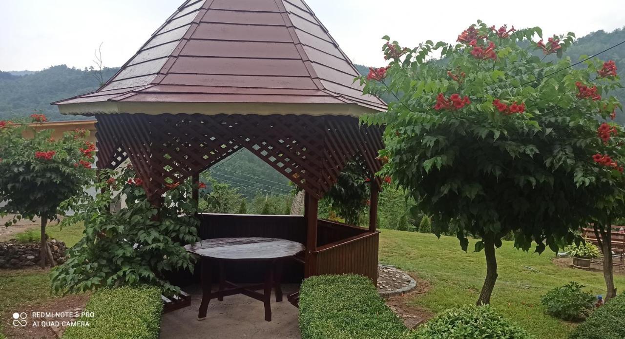 Guest House Vila Aleksa Bogutovac Eksteriør bilde