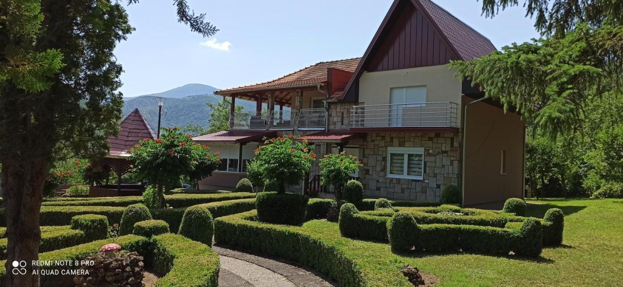 Guest House Vila Aleksa Bogutovac Eksteriør bilde