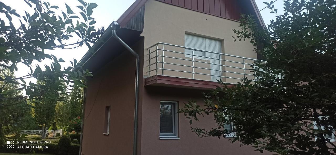 Guest House Vila Aleksa Bogutovac Eksteriør bilde